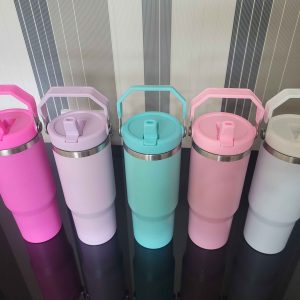 30oz Stanley DUPE Steel Tumbler